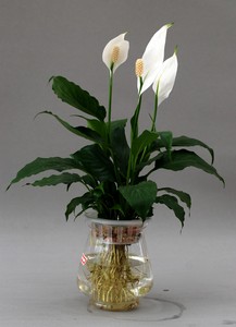 1c40d35f-6e61-43dc-9bc7-c56d04b55aa7.jpg
